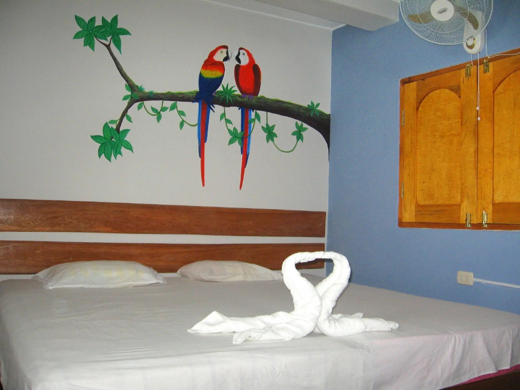 Amazon House Hostel