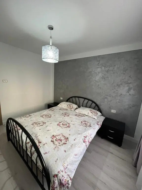 Borșa ApartHotel 4