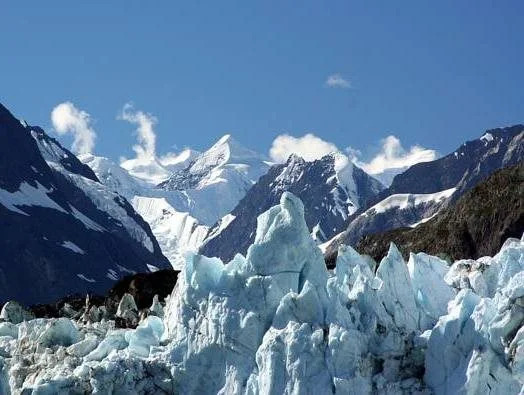 Wild Alaska Inn