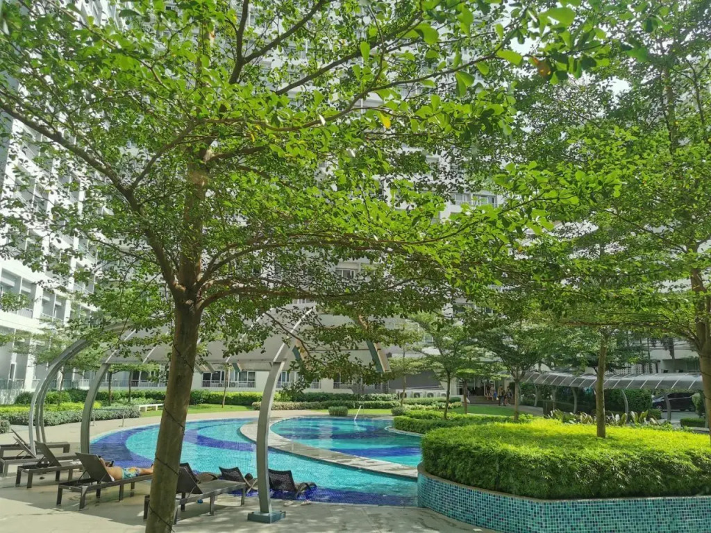 Liam's Pad at grace residences