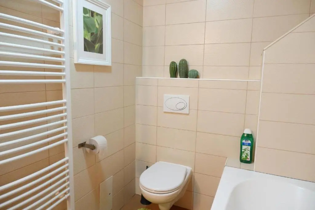 Apartman v centru mesta s vyhledem na Petra