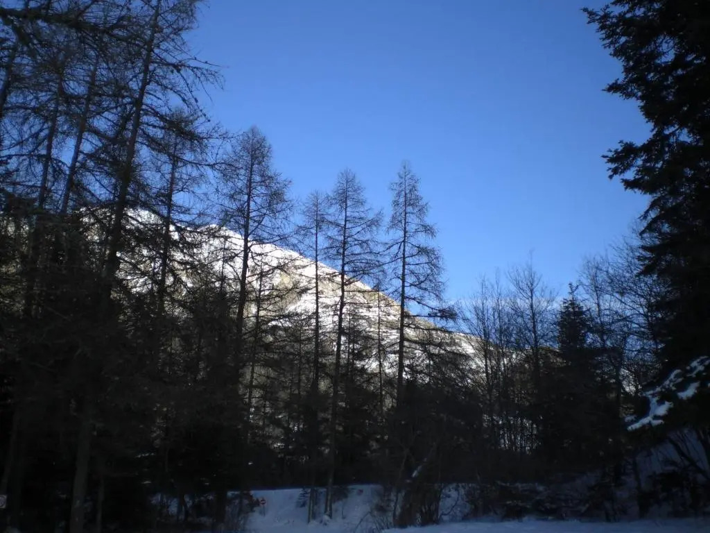 T3 Coquet Et Lumineux Aux Pieds Des Pistes