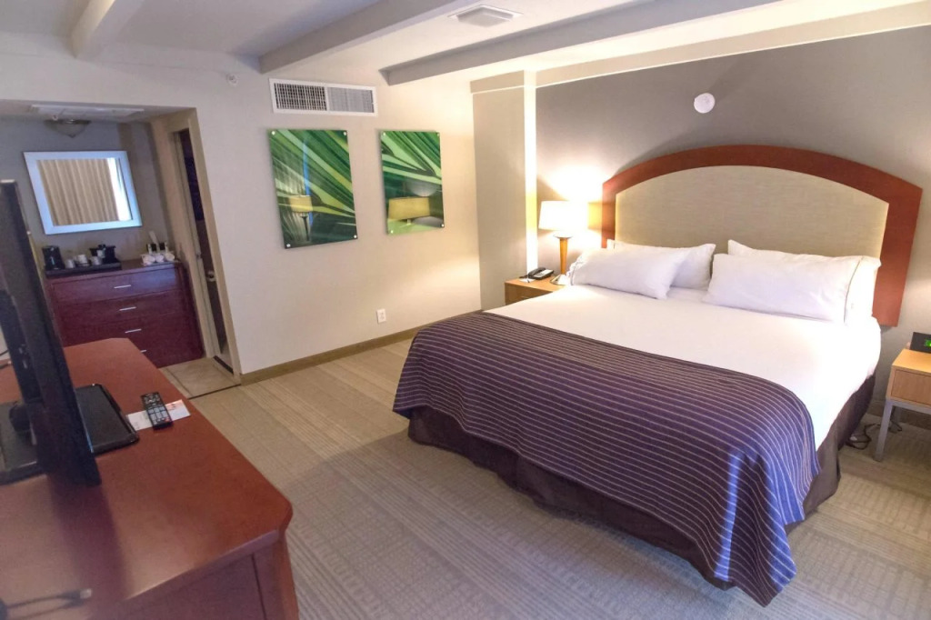 Hotel Indigo Saint Louis Central West End by IHG
