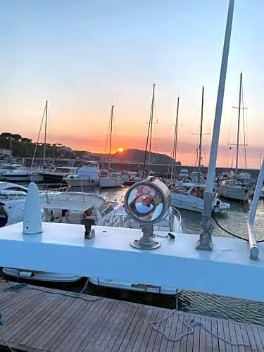 Monica IV