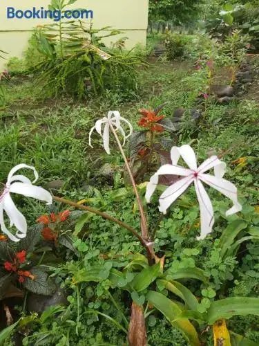 Posada Rural Oasis