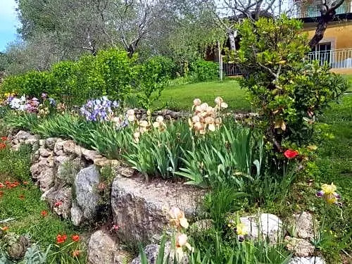 Maison MIMOSA