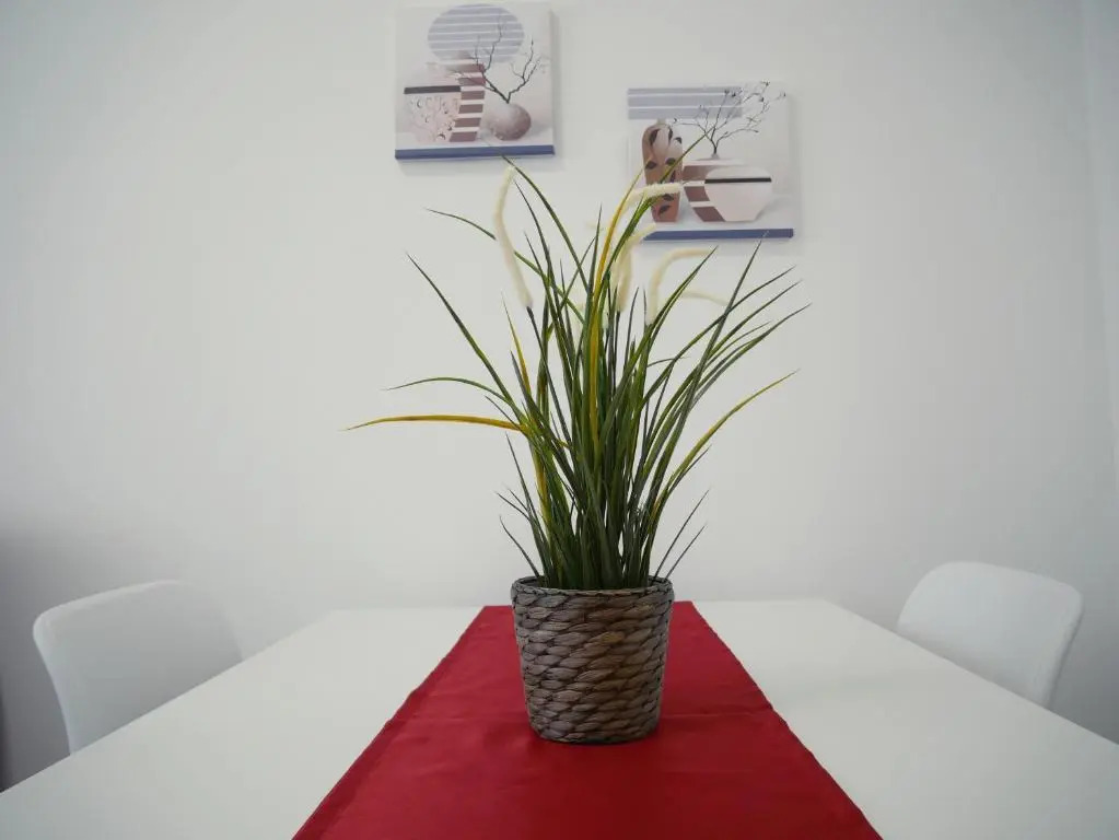 Denza Apartments