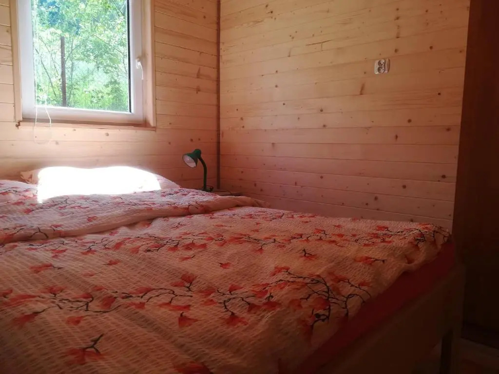 Domki Pod Wiązem Solina 20