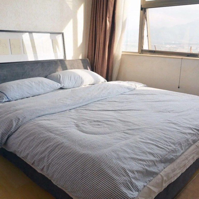 Big Hero Apartment Hotel (Shenzhen Futian Port)