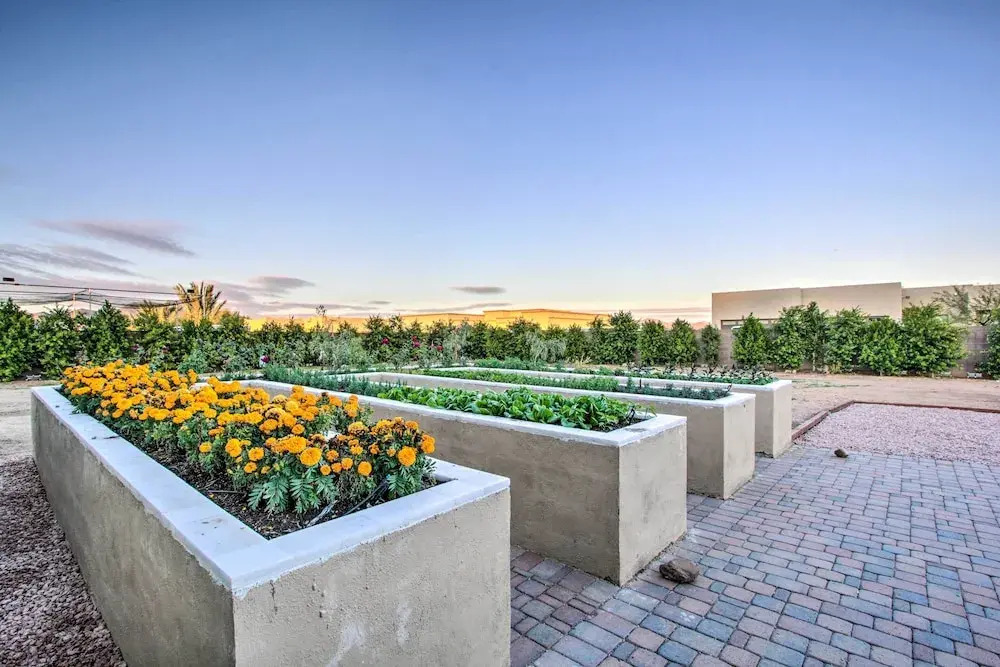 Desert Views, Fire Pit: Serene Phoenix Getaway