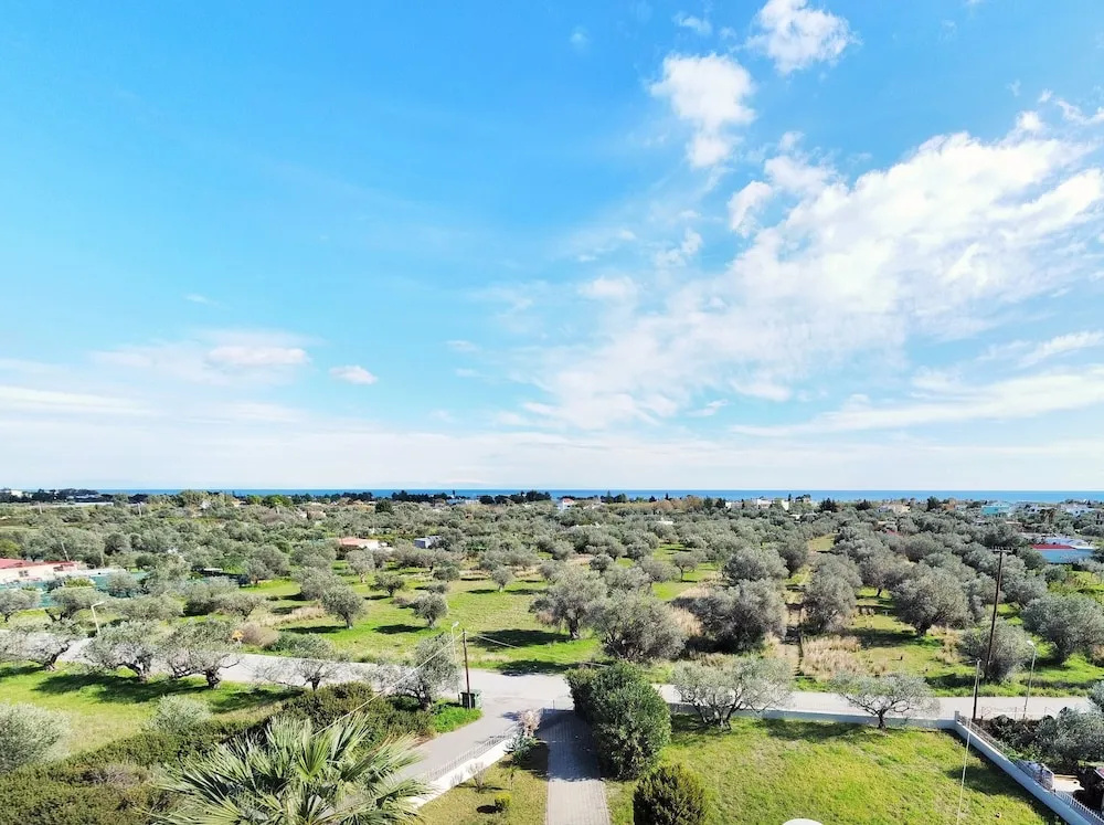 Villa Olive Grove