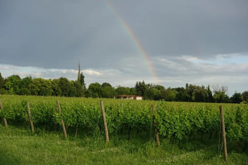 Agriturismo Le Giarine
