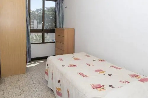 Estirpe, 2º-3