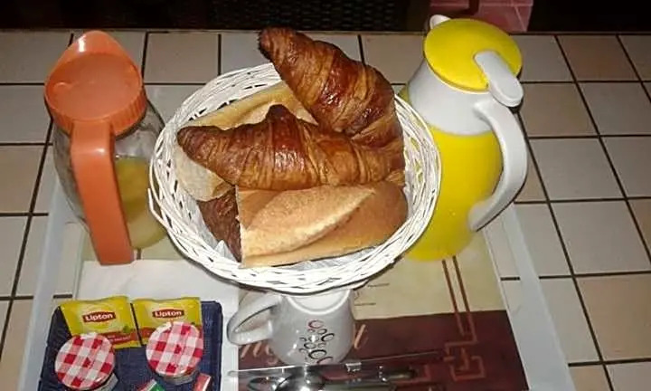 Le chant des oiseaux