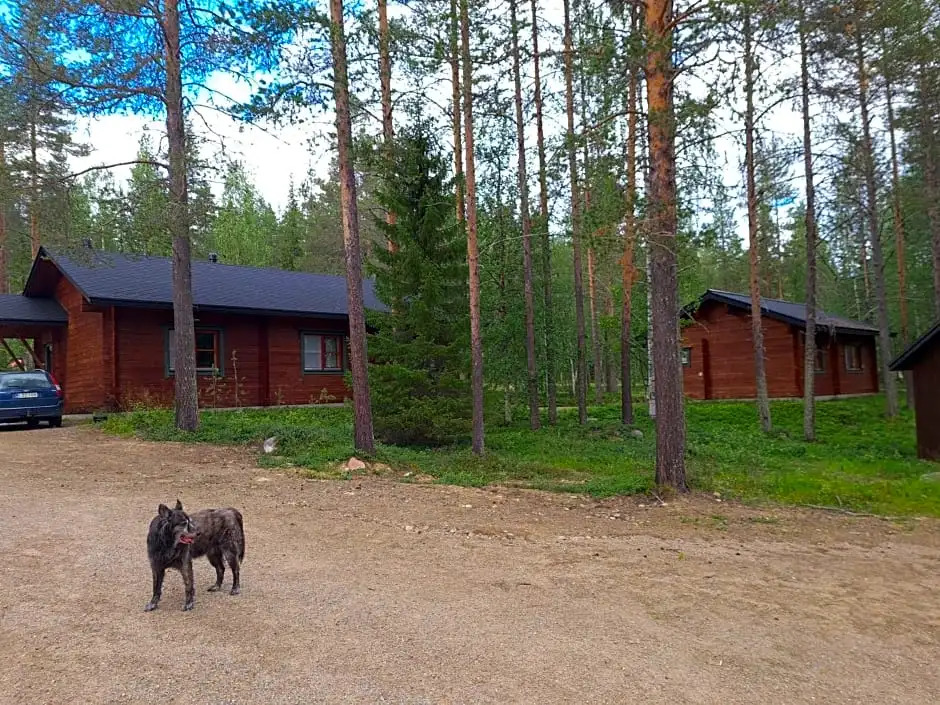Silver Fox Hostel