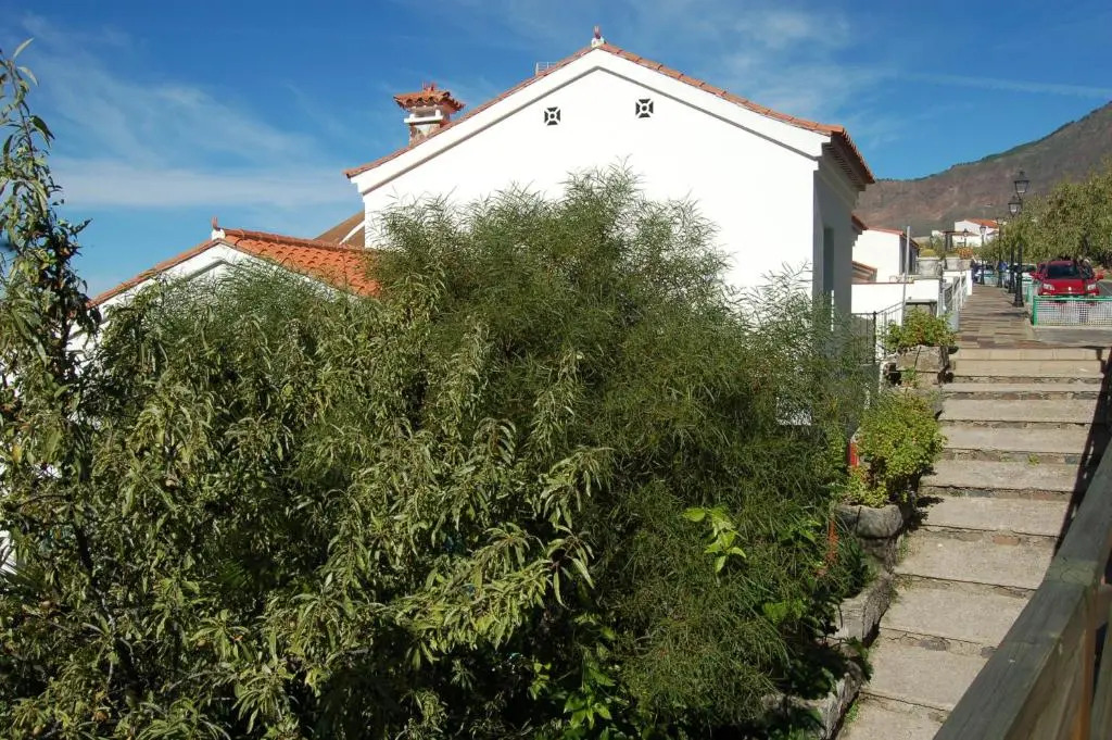 VV El Almendro