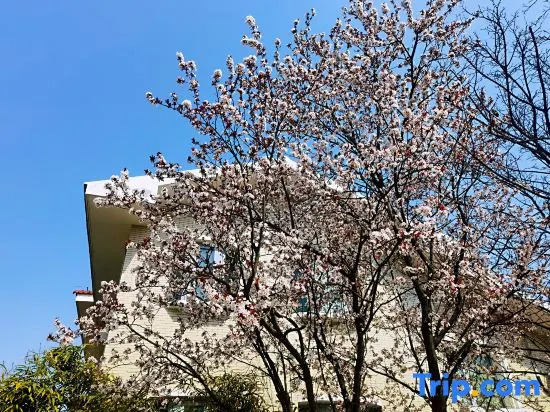Guanlan Residence Seaview Resort Villa