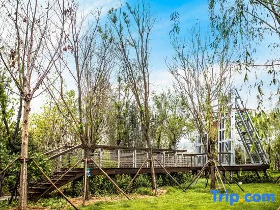 Yuanyang · Seatopia Homestay