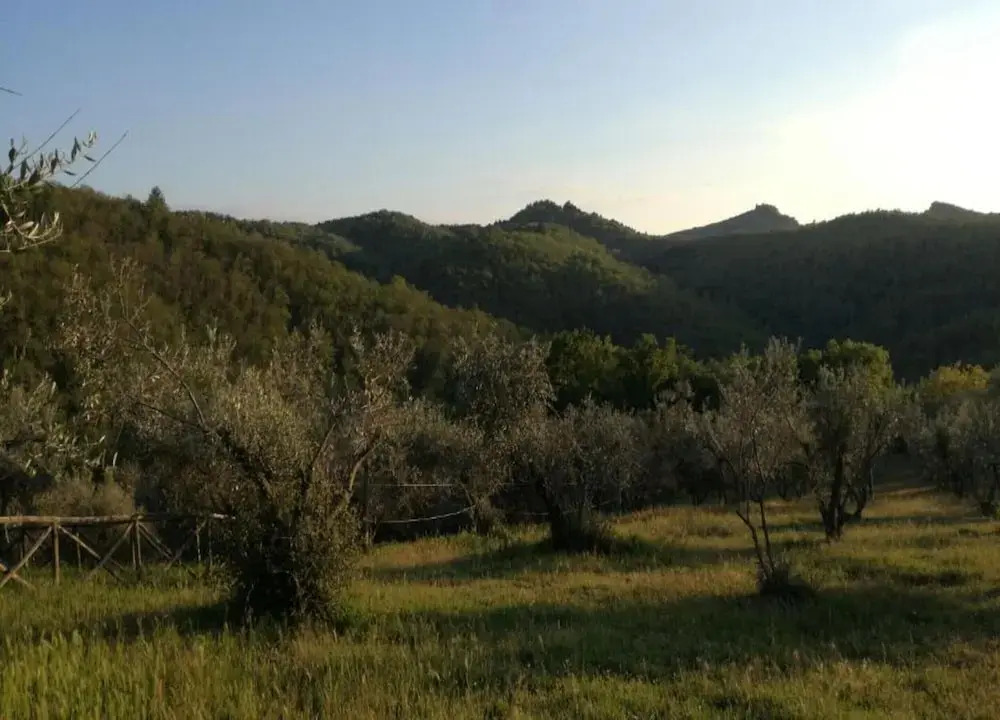 Tranquil Chianti Escape for 4