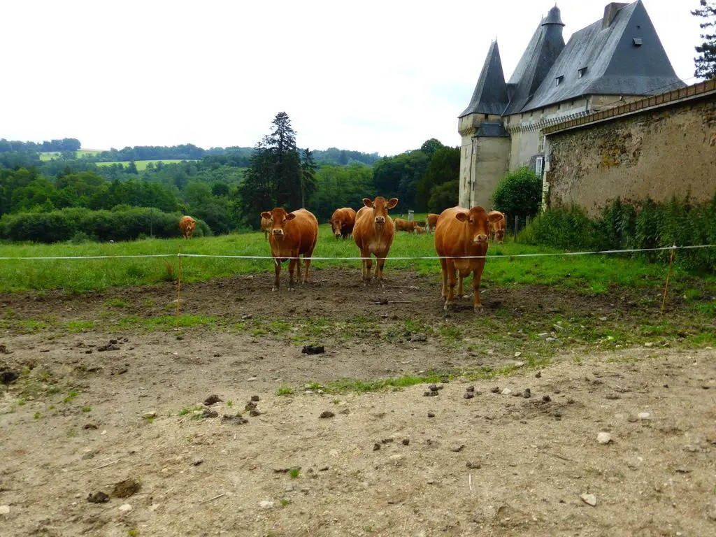 Château de Mavaleix