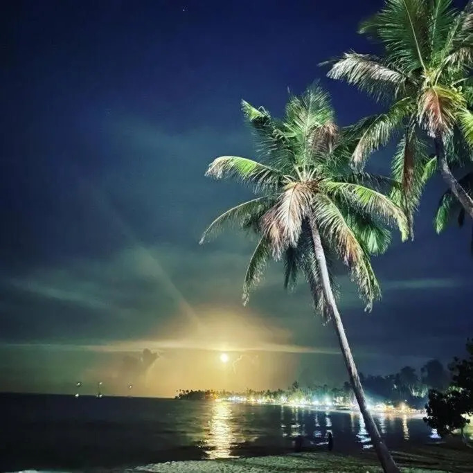 Las Terrenas beachfront 2 bedrooms condo with pool