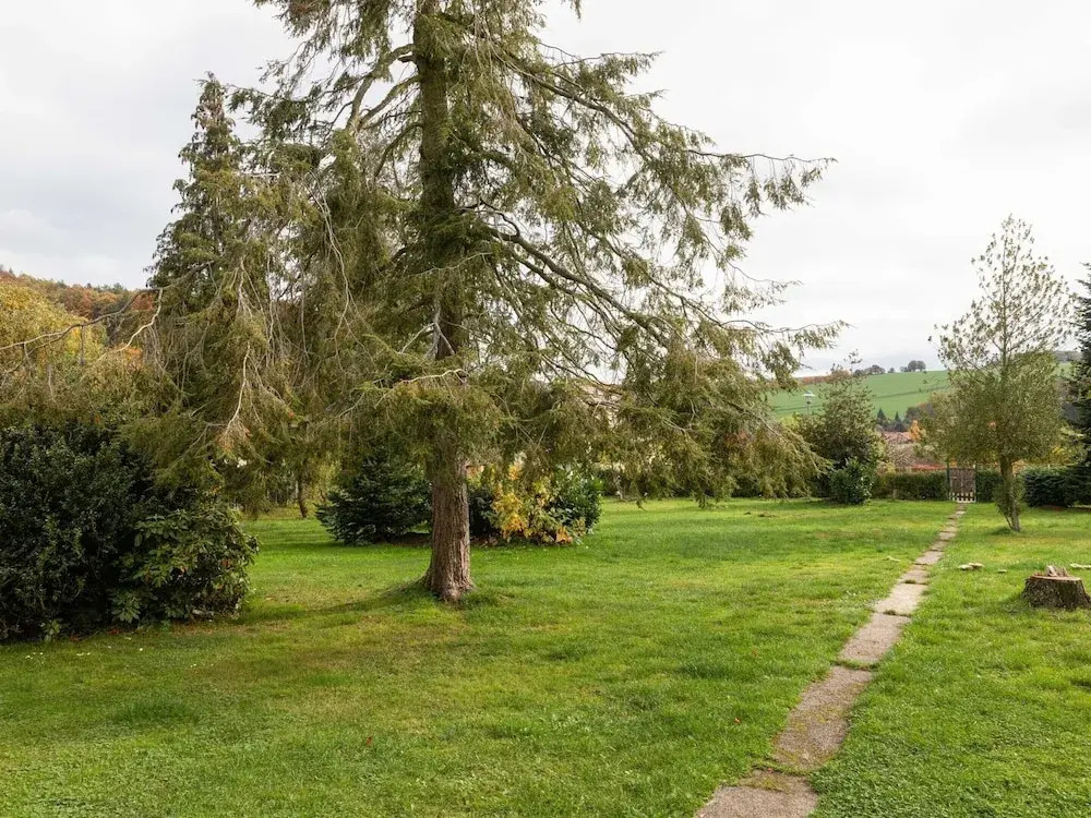 Ferienhaus im Thuringer Wald