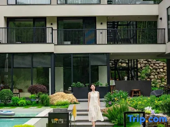 Anji Ginkgo House