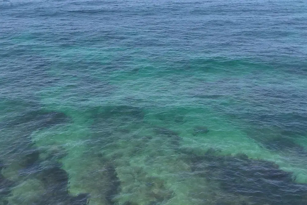 Peniche Nature and Beach Flat