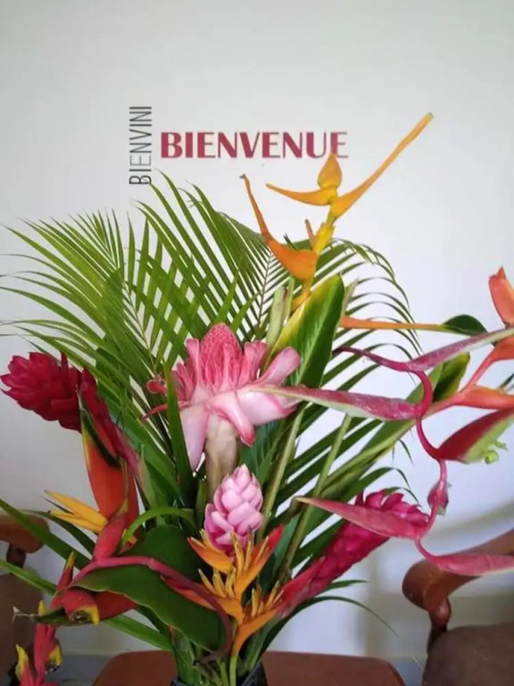 Studio In Le Gosier With Furnished Garden And Wifi 3 Km From The Beach