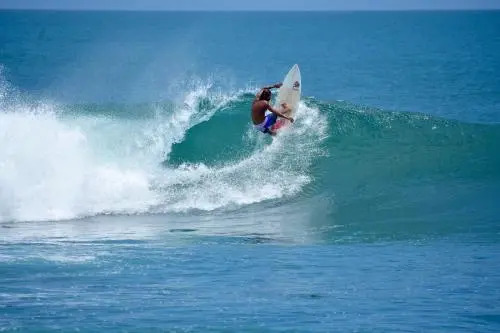Wild Waves Surf-House