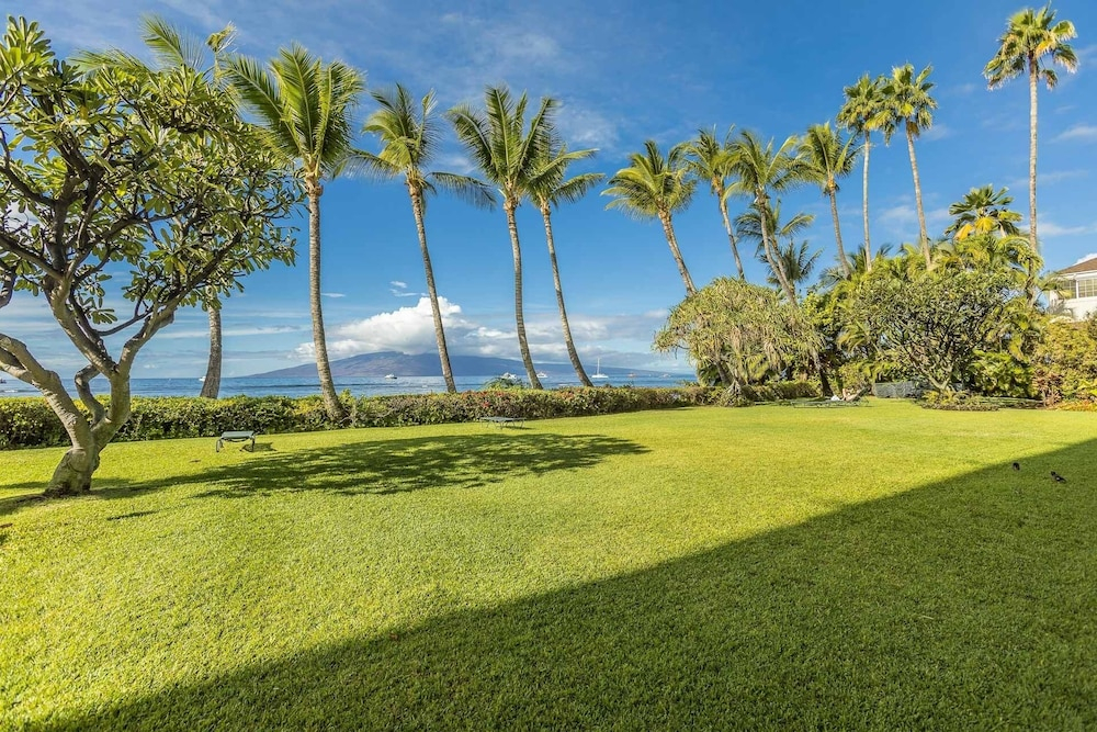 Lahaina Shores #218 Condo