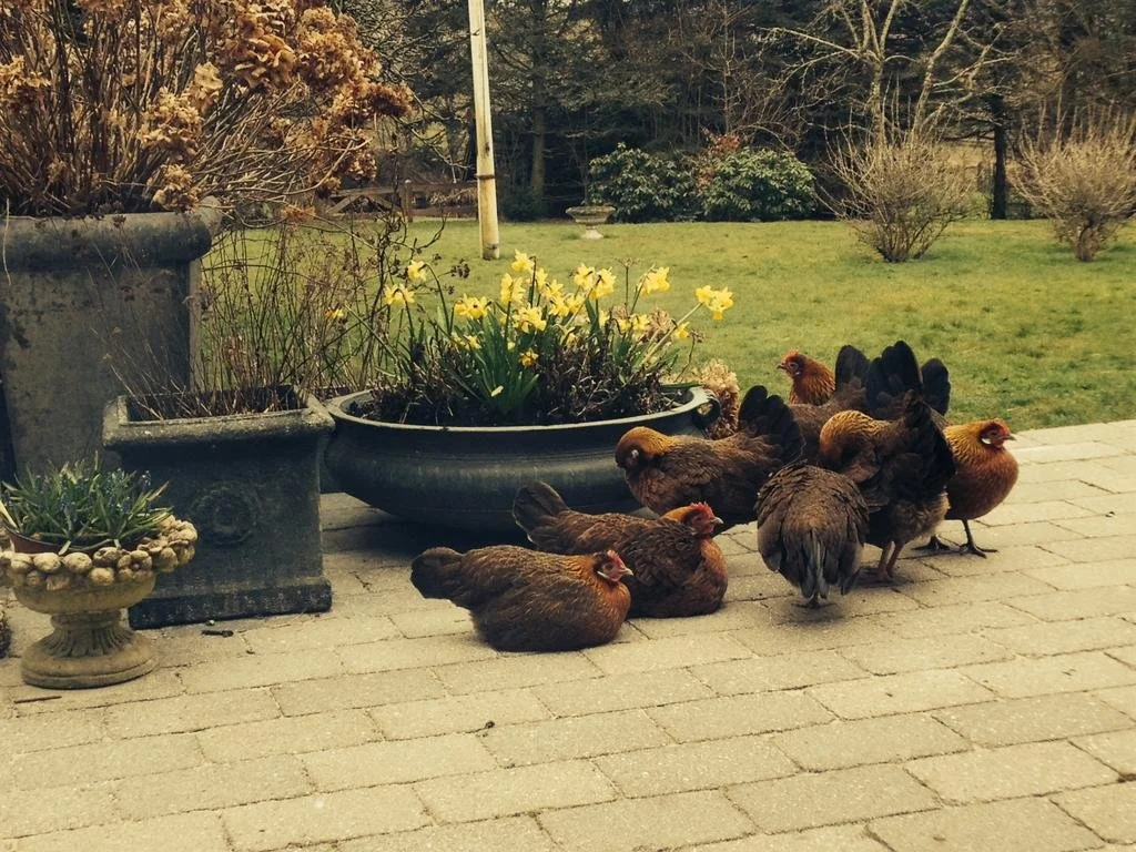 Beringgaard Bed and Breakfast
