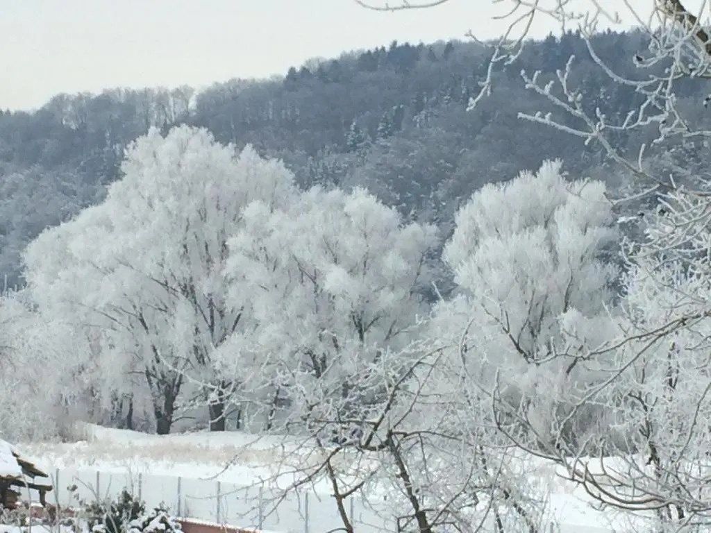 Idylle I an der Donau