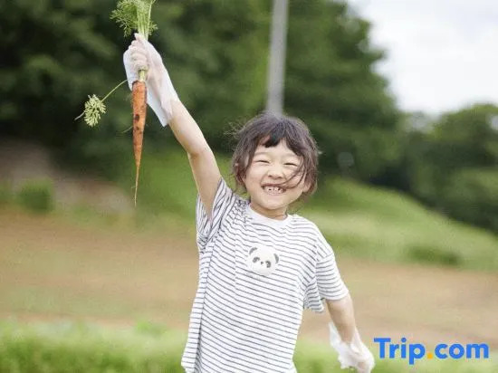 The Farm Slow Mountain Narita