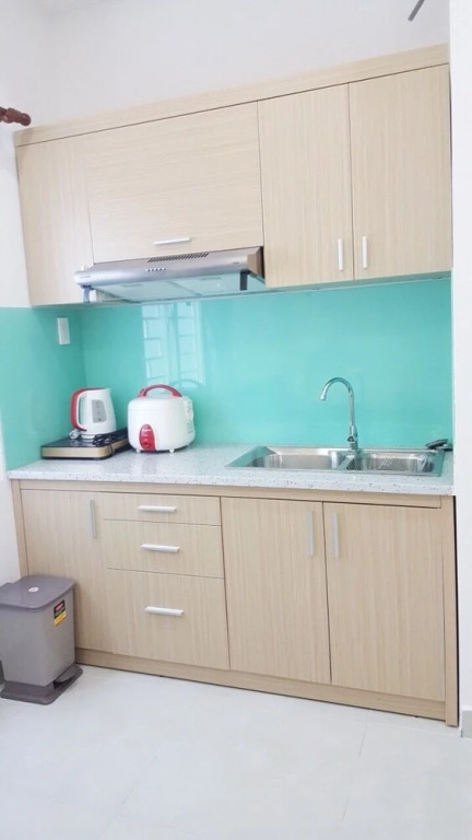 Mekong Homes 14