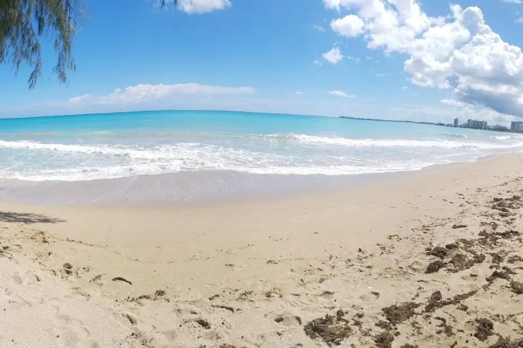 Beach Studio at IVT 4