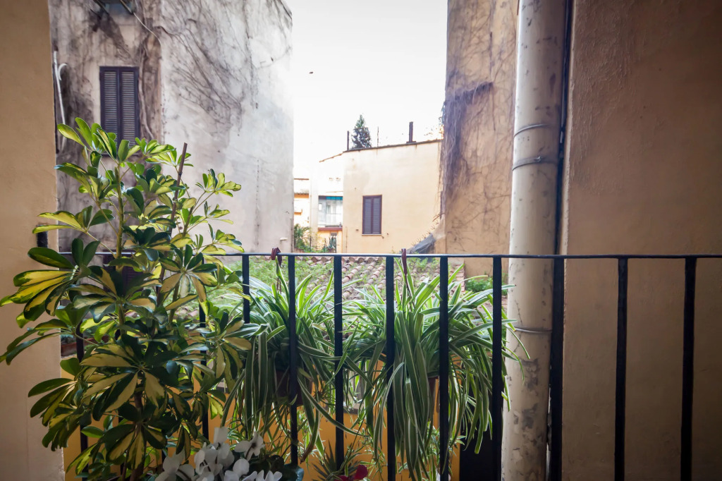 Trevi Art Suite