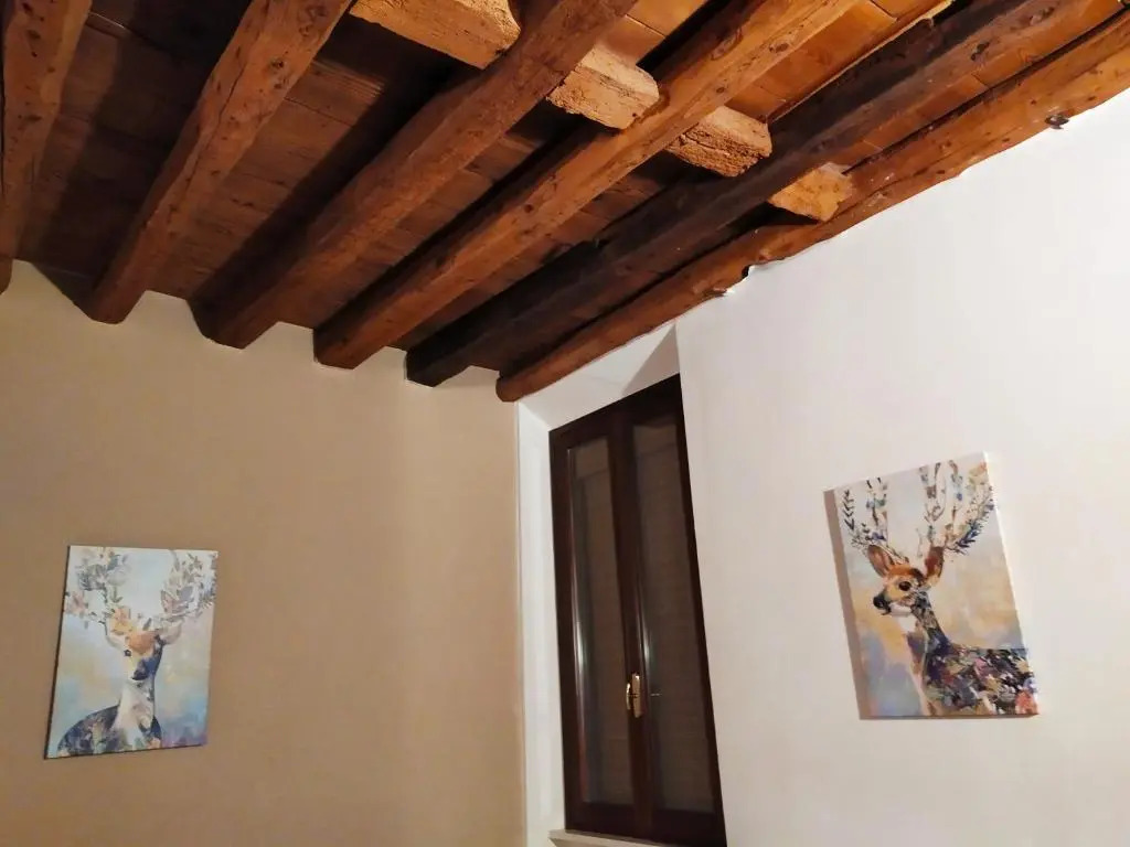 Carducci 49