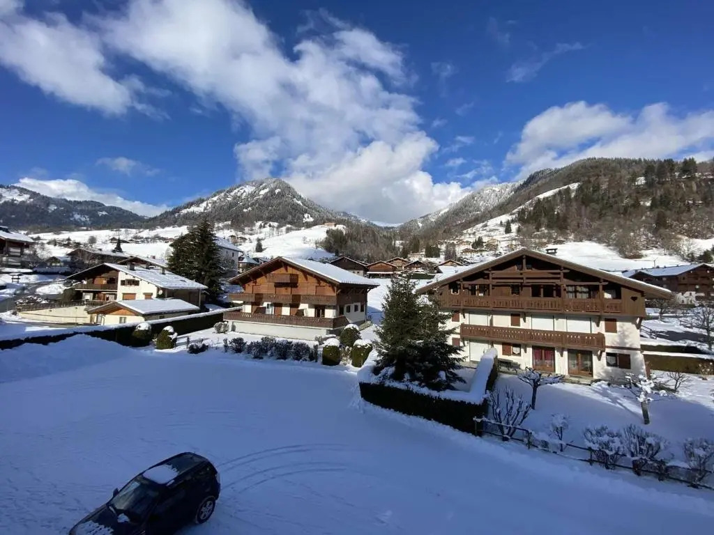 Appartement Praz-sur-Arly, 1 pièce, 4 personnes - FR-1-603-18