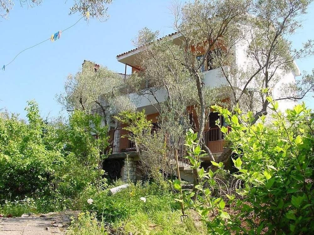 Apartment Griv
