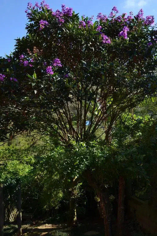 Surya Namaskar Guest House