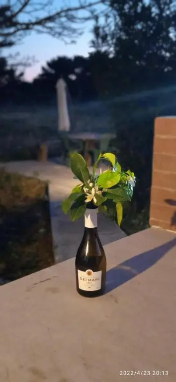 Sogni nel blu Favignana