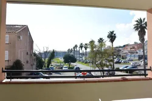 Palmeraie 31