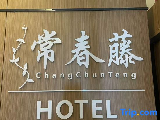 Ivy Elegant Manor Hotel (Chongqing Chayuan Subway Station） Branch)