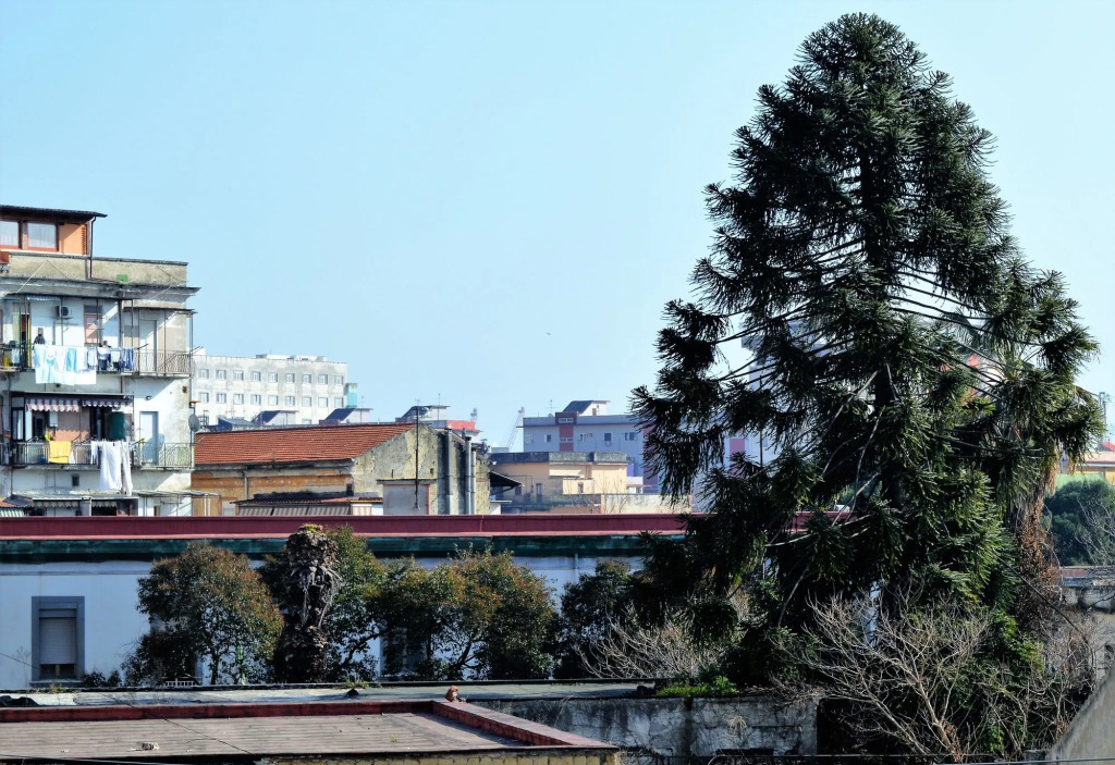 Napoli Station B&B