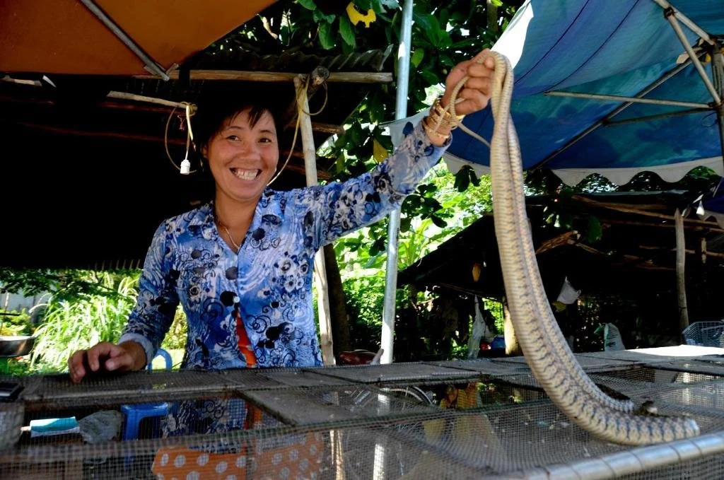 The Durian Lodge at Mekong