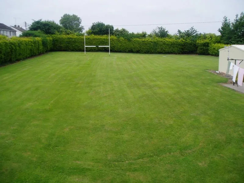 Meadow View