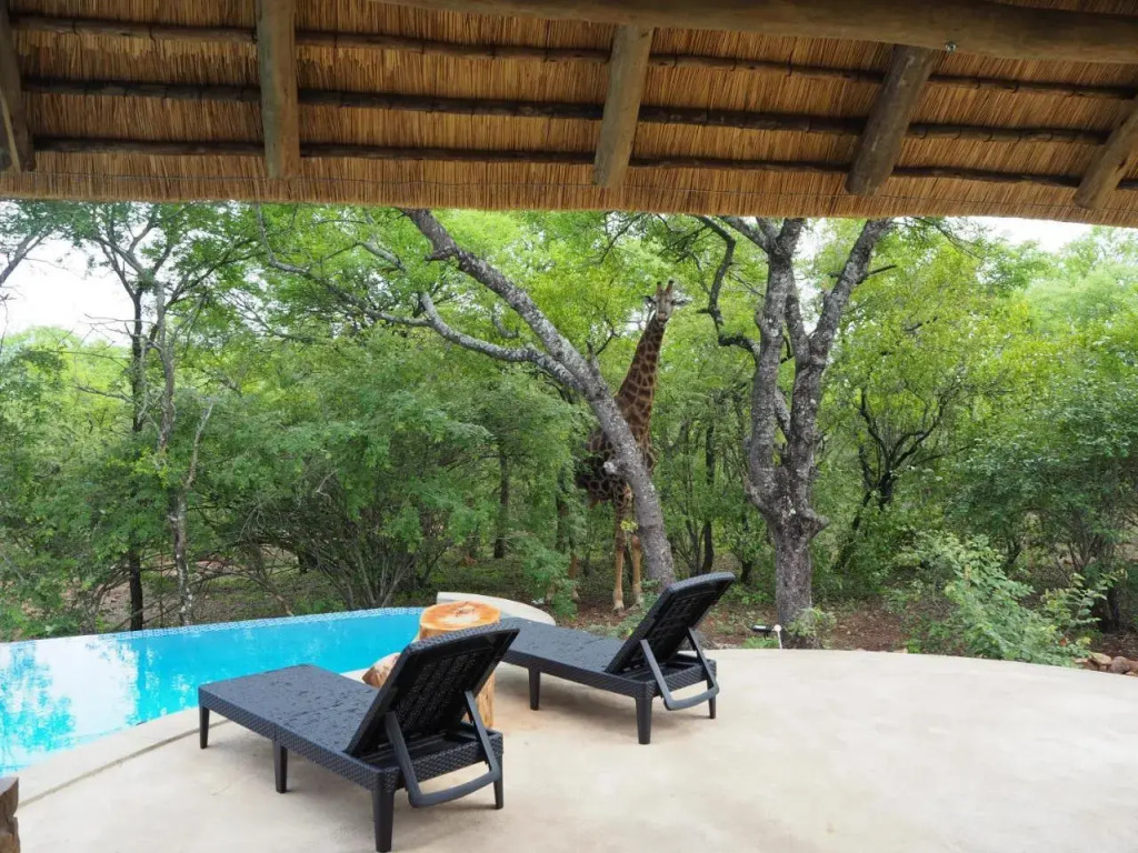 Pata Pata House