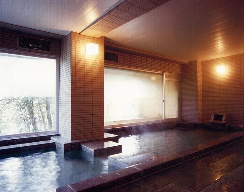 吾妻广场酒店(Plaza Hotel Azuma)