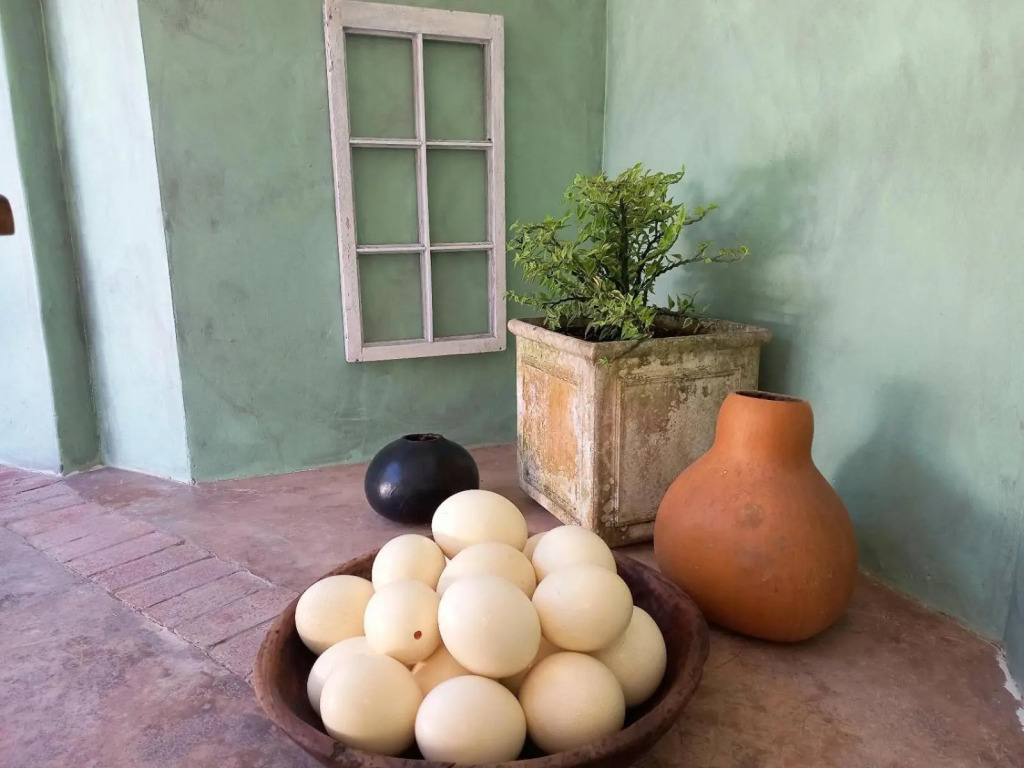 Villa Roc Guesthouse - Pet Friendly